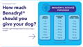 Image showcasing Benadryl for Dogs: Safe Dosage & How Much Can I Give My Dog? - Vetnique ...